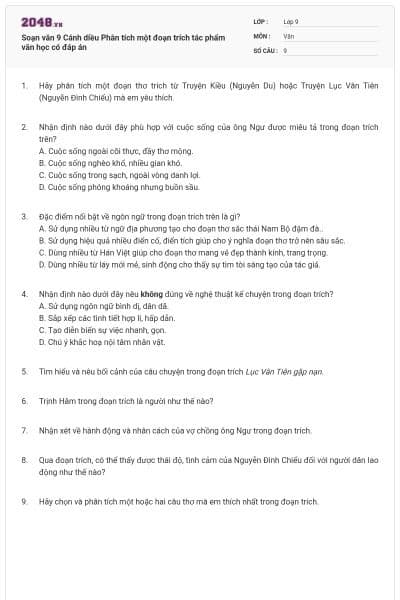 Soạn văn 9 Cánh diều Phân tích một đoạn trích tác phẩm văn học có đáp án