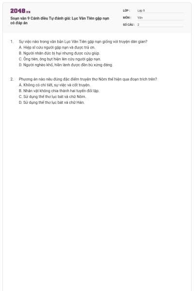 Soạn văn 9 Cánh diều Tự đánh giá: Lục Vân Tiên gặp nạn có đáp án