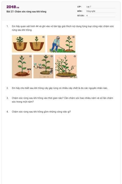 Bài 27: Chăm sóc rừng sau khi trồng