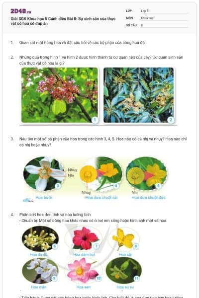 Giải SGK Khoa học 5 Cánh diều Bài 8: Sự sinh sản của thực vật có hoa có đáp án