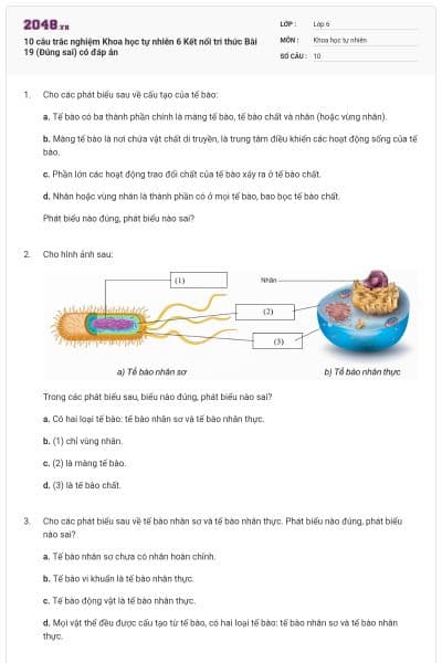 10 câu trắc nghiệm Khoa học tự nhiên 6 Kết nối tri thức Bài 19 (Đúng sai) có đáp án