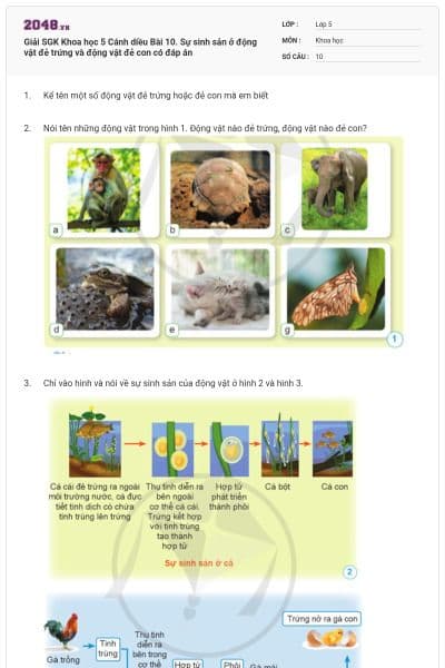 Giải SGK Khoa học 5 Cánh diều Bài 10. Sự sinh sản ở động vật đẻ trứng và động vật đẻ con có đáp án