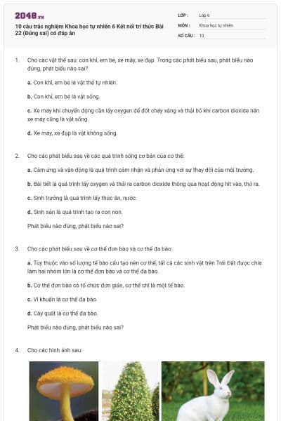 10 câu trắc nghiệm Khoa học tự nhiên 6 Kết nối tri thức Bài 22 (Đúng sai) có đáp án