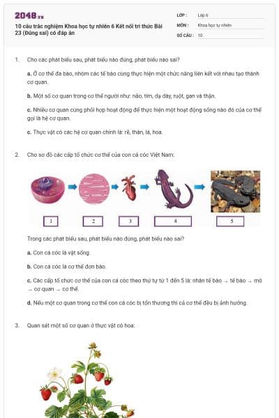 10 câu trắc nghiệm Khoa học tự nhiên 6 Kết nối tri thức Bài 23 (Đúng sai) có đáp án