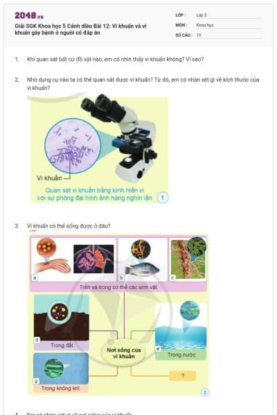 Giải SGK Khoa học 5 Cánh diều Bài 12: Vi khuẩn và vi khuẩn gây bệnh ở người có đáp án