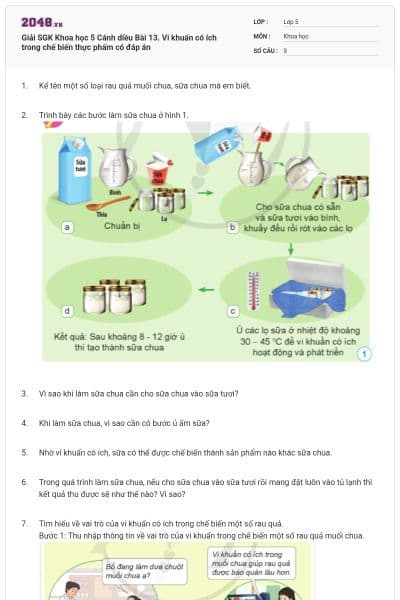 Giải SGK Khoa học 5 Cánh diều Bài 13. Vi khuẩn có ích trong chế biến thực phẩm có đáp án