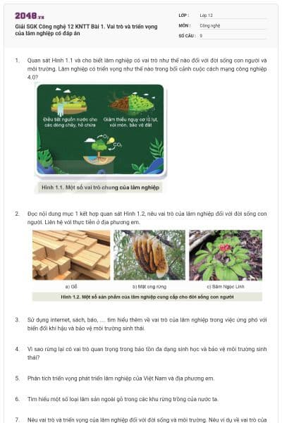 Giải SGK Công nghệ 12 KNTT Bài 1. Vai trò và triển vọng của lâm nghiệp có đáp án