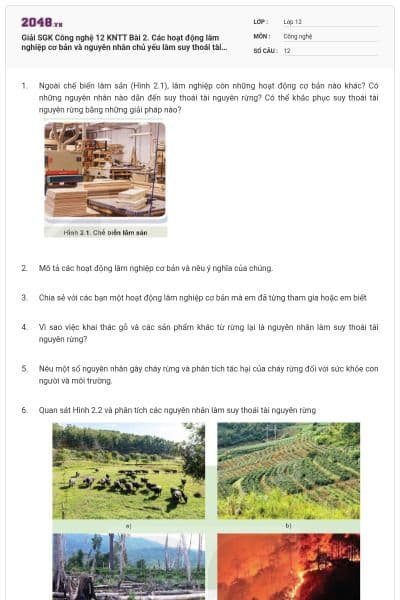 Giải SGK Công nghệ 12 KNTT Bài 2. Các hoạt động lâm nghiệp cơ bản và nguyên nhân chủ yếu làm suy thoái tài nguyên rừng có đáp án