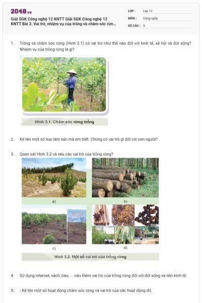 Giải SGK Công nghệ 12 KNTT Giải SGK Công nghệ 12 KNTT Bài 3. Vai trò, nhiệm vụ của trồng và chăm sóc rừng có đáp án có đáp án