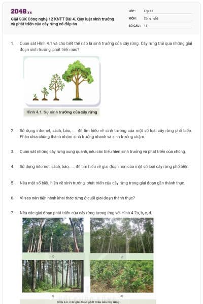 Giải SGK Công nghệ 12 KNTT Bài 4. Quy luật sinh trưởng và phát triển của cây rừng có đáp án