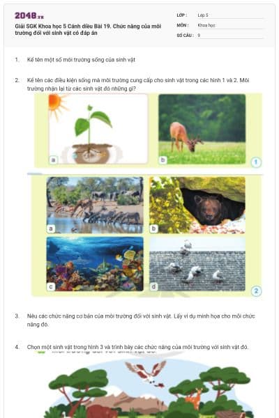Giải SGK Khoa học 5 Cánh diều Bài 19. Chức năng của môi trường đối với sinh vật có đáp án