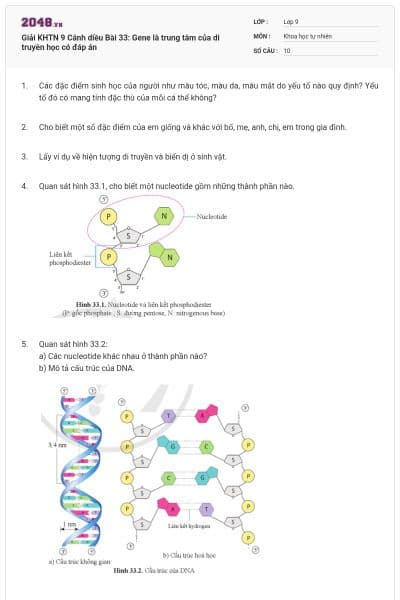Giải KHTN 9 Cánh diều Bài 33: Gene là trung tâm của di truyền học có đáp án