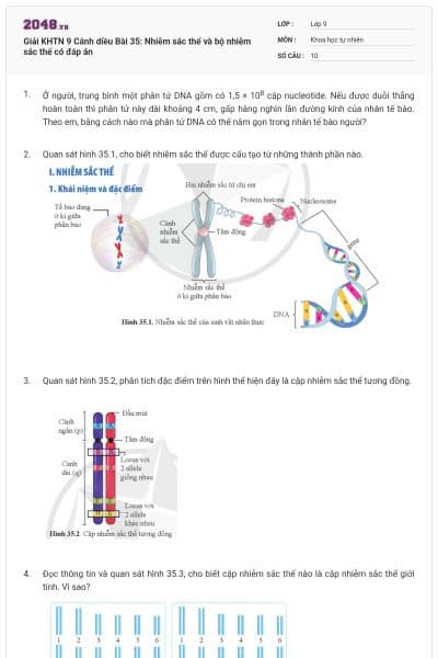 Giải KHTN 9 Cánh diều Bài 35: Nhiễm sắc thể và bộ nhiễm sắc thể có đáp án