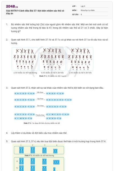 Giải KHTN 9 Cánh diều Bài 37: Đột biến nhiễm sắc thể có đáp án