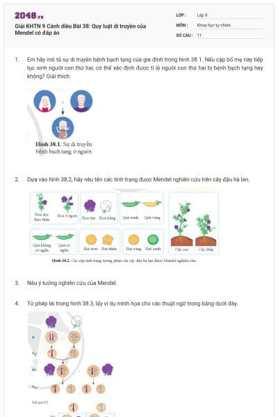 Giải KHTN 9 Cánh diều Bài 38: Quy luật di truyền của Mendel có đáp án