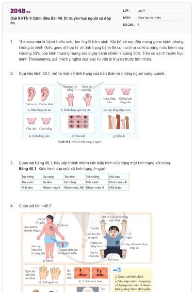 Giải KHTN 9 Cánh diều Bài 40: Di truyền học người có đáp án