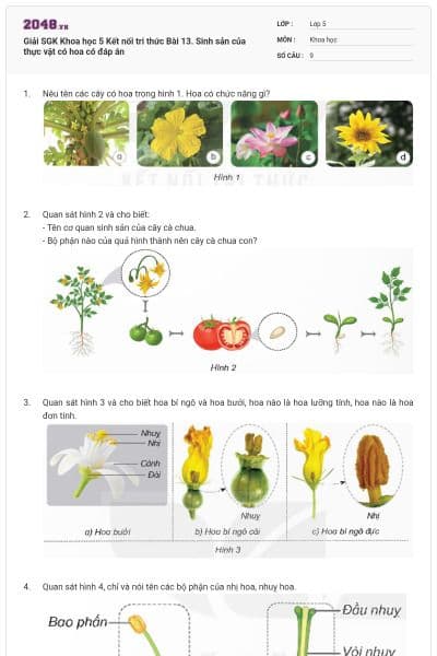 Giải SGK Khoa học 5 Kết nối tri thức Bài 13. Sinh sản của thực vật có hoa có đáp án