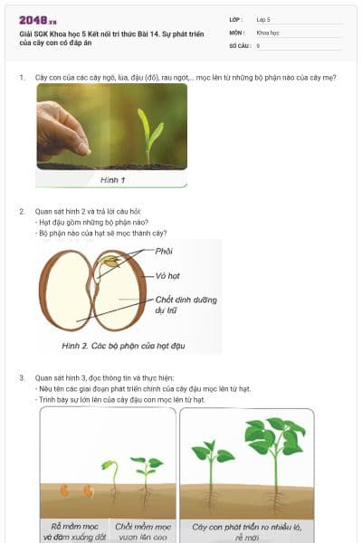 Giải SGK Khoa học 5 Kết nối tri thức Bài 14. Sự phát triển của cây con có đáp án