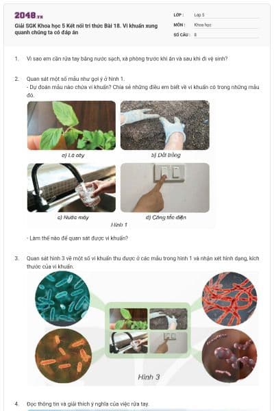 Giải SGK Khoa học 5 Kết nối tri thức Bài 18. Vi khuẩn xung quanh chúng ta có đáp án