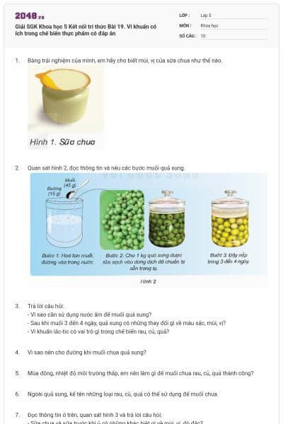 Giải SGK Khoa học 5 Kết nối tri thức Bài 19. Vi khuẩn có ích trong chế biến thực phẩm có đáp án