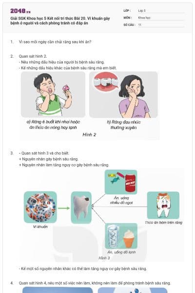 Giải SGK Khoa học 5 Kết nối tri thức Bài 20. Vi khuẩn gây bệnh ở người và cách phòng tránh có đáp án