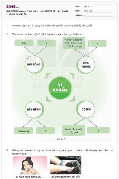 Giải SGK Khoa học 5 Kết nối tri thức Bài 21: Ôn tập chủ đề vi khuẩn có đáp án
