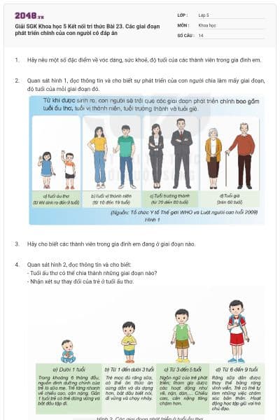 Giải SGK Khoa học 5 Kết nối tri thức Bài 23. Các giai đoạn phát triển chính của con người có đáp án
