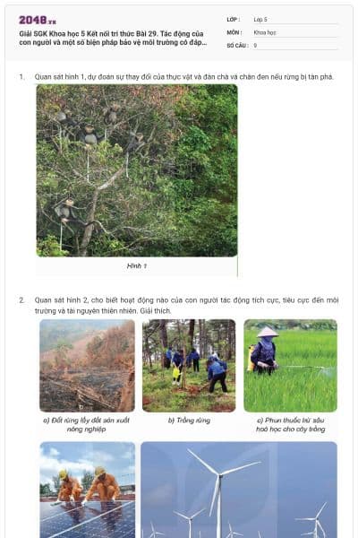 Giải SGK Khoa học 5 Kết nối tri thức Bài 29. Tác động của con người và một số biện pháp bảo vệ môi trường có đáp án