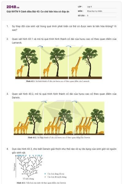 Giải KHTN 9 Cánh diều Bài 43: Cơ chế tiến hóa có đáp án