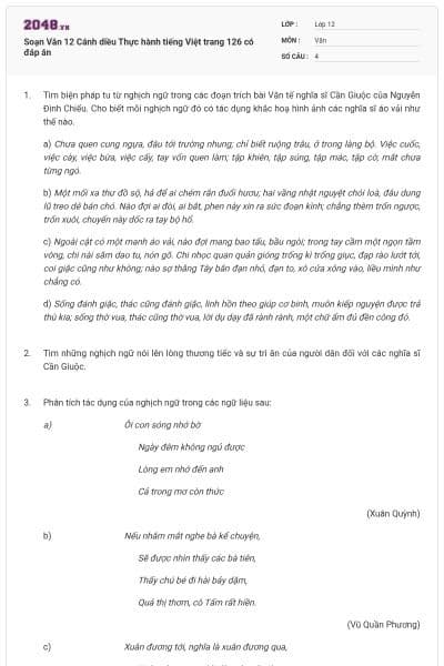 Soạn Văn 12 Cánh diều Thực hành tiếng Việt trang 126 có đáp án
