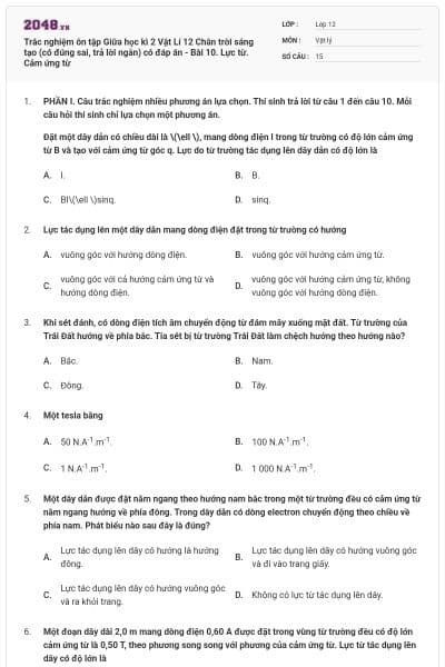 Trắc nghiệm ôn tập Giữa học kì 2 Vật Lí 12 Chân trời sáng tạo (có đúng sai, trả lời ngắn) có đáp án - Bài 10. Lực từ. Cảm ứng từ