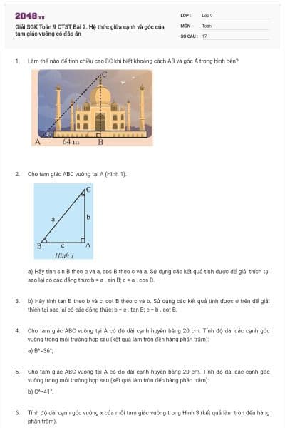 Giải SGK Toán 9 CTST Bài 2. Hệ thức giữa cạnh và góc của tam giác vuông có đáp án