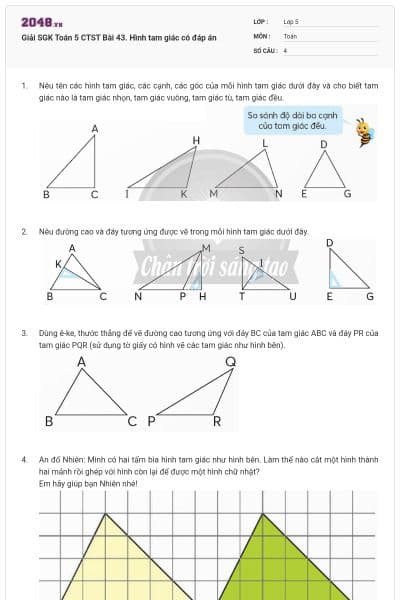 Giải SGK Toán 5 CTST Bài 43. Hình tam giác có đáp án