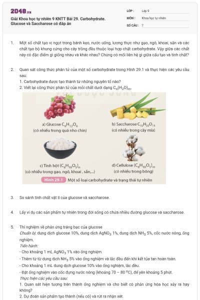 Giải Khoa học tự nhiên 9 KNTT Bài 29. Carbohydrate. Glucose và Saccharose có đáp án
