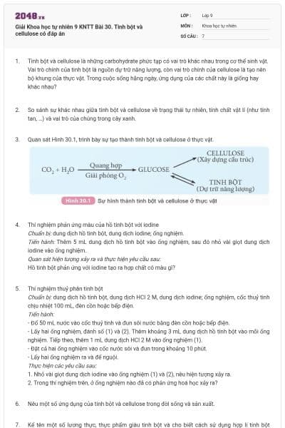 Giải Khoa học tự nhiên 9 KNTT Bài 30. Tinh bột và cellulose có đáp án