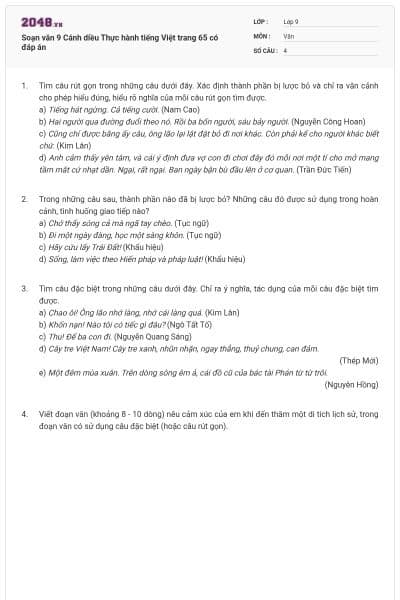 Soạn văn 9 Cánh diều Thực hành tiếng Việt trang 65 có đáp án