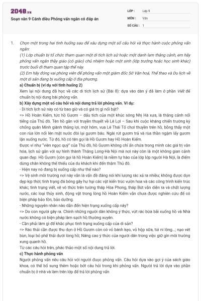 Soạn văn 9 Cánh diều Phỏng vấn ngắn có đáp án