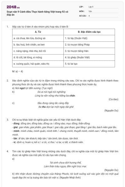 Soạn văn 9 Cánh diều Thực hành tiếng Việt trang 92 có đáp án