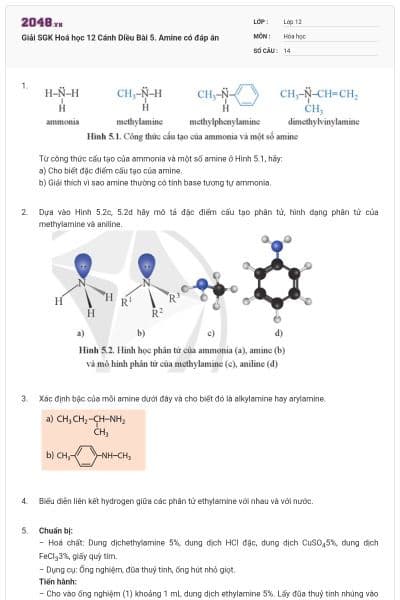 Giải SGK Hoá học 12 Cánh Diều Bài 5. Amine có đáp án