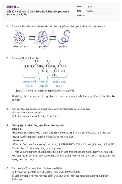Giải SGK Hoá học 12 Cánh Diều Bài 7. Peptide, protein và enzyme có đáp án