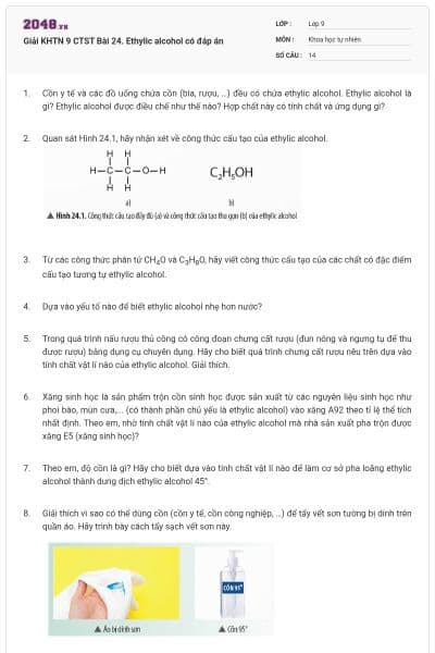 Giải KHTN 9 CTST Bài 24. Ethylic alcohol có đáp án