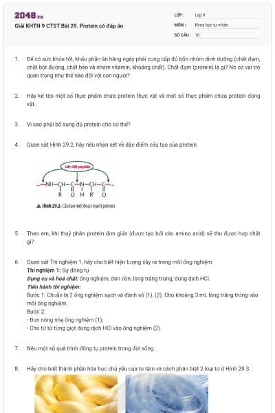 Giải KHTN 9 CTST Bài 29. Protein có đáp án
