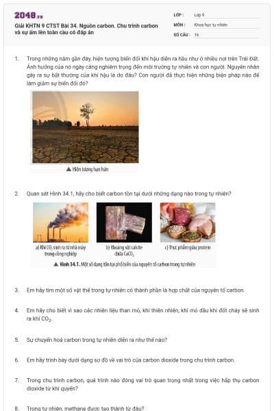 Giải KHTN 9 CTST Bài 34. Nguồn carbon. Chu trình carbon và sự ấm lên toàn cầu có đáp án