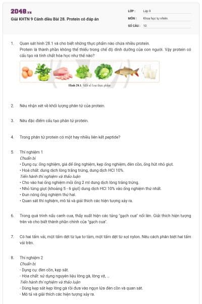 Giải KHTN 9 Cánh diều Bài 28. Protein có đáp án