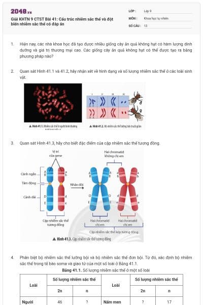 Giải KHTN 9 CTST Bài 41: Cấu trúc nhiễm sắc thể và đột biến nhiễm sắc thể có đáp án