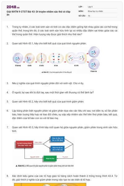 Giải KHTN 9 CTST Bài 43: Di truyền nhiễm sắc thể có đáp án