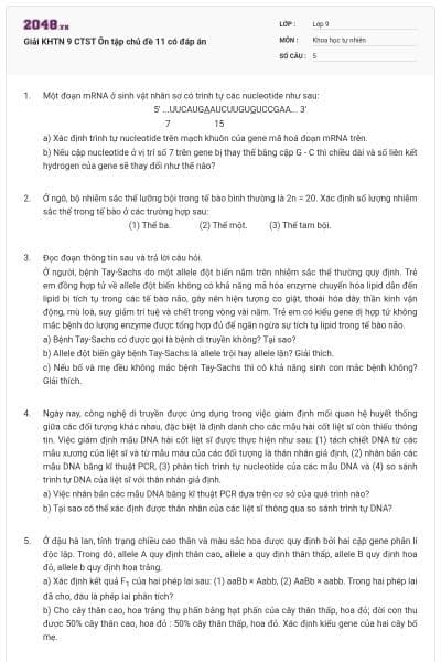 Giải KHTN 9 CTST Ôn tập chủ đề 11 có đáp án