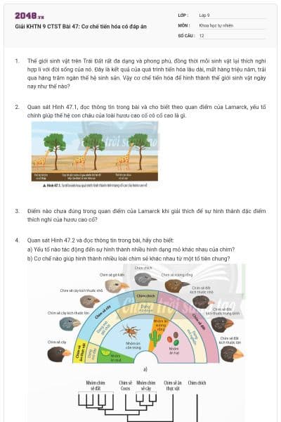 Giải KHTN 9 CTST Bài 47: Cơ chế tiến hóa có đáp án
