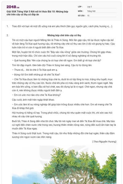 Giải SGK Tiếng Việt 5 Kết nối tri thức Bài 10: Những búp chè trên cây cổ thụ có đáp án