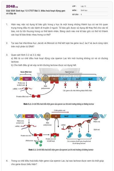 Giải SGK Sinh học 12 CTST Bài 3. Điều hoà hoạt động gen có đáp án